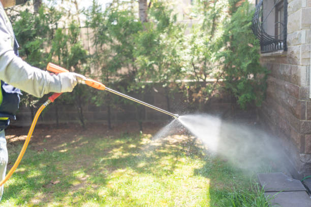 Indoor Pest Control in Hanford, CA